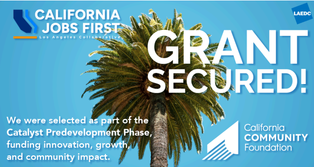 CJF Press Release Image